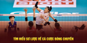 Cá Cược Bóng Chuyền Là Gì? Định Nghĩa Chi Tiết