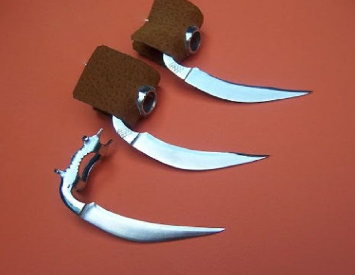 Chăm Sóc Cựa Gà Sau Khi Mài