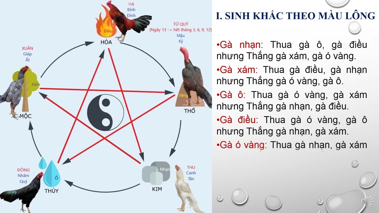 Các Loại Màu Mạng Đá Gà Phổ Biến