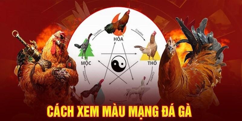 Màu Mạng Đá Gà Là Gì? Định Nghĩa Chi Tiết