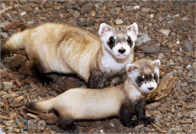 Ý Nghĩa Chi Tiết Theo Từng Tình Huống