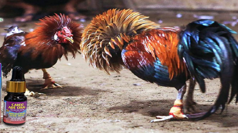 Những Sai Lầm Thường Gặp Khi Sử Dụng Thuốc Bổ